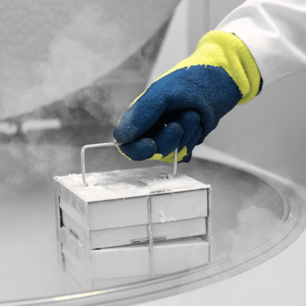 How Does Adipose Tissue Cryopreservation Work?