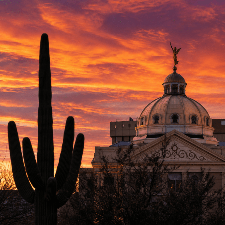 Arizona Stem Cell Bill marked by a saguaro cactus beside the Arizona Capitol dome